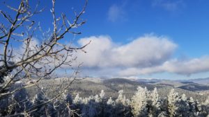Winter Memories