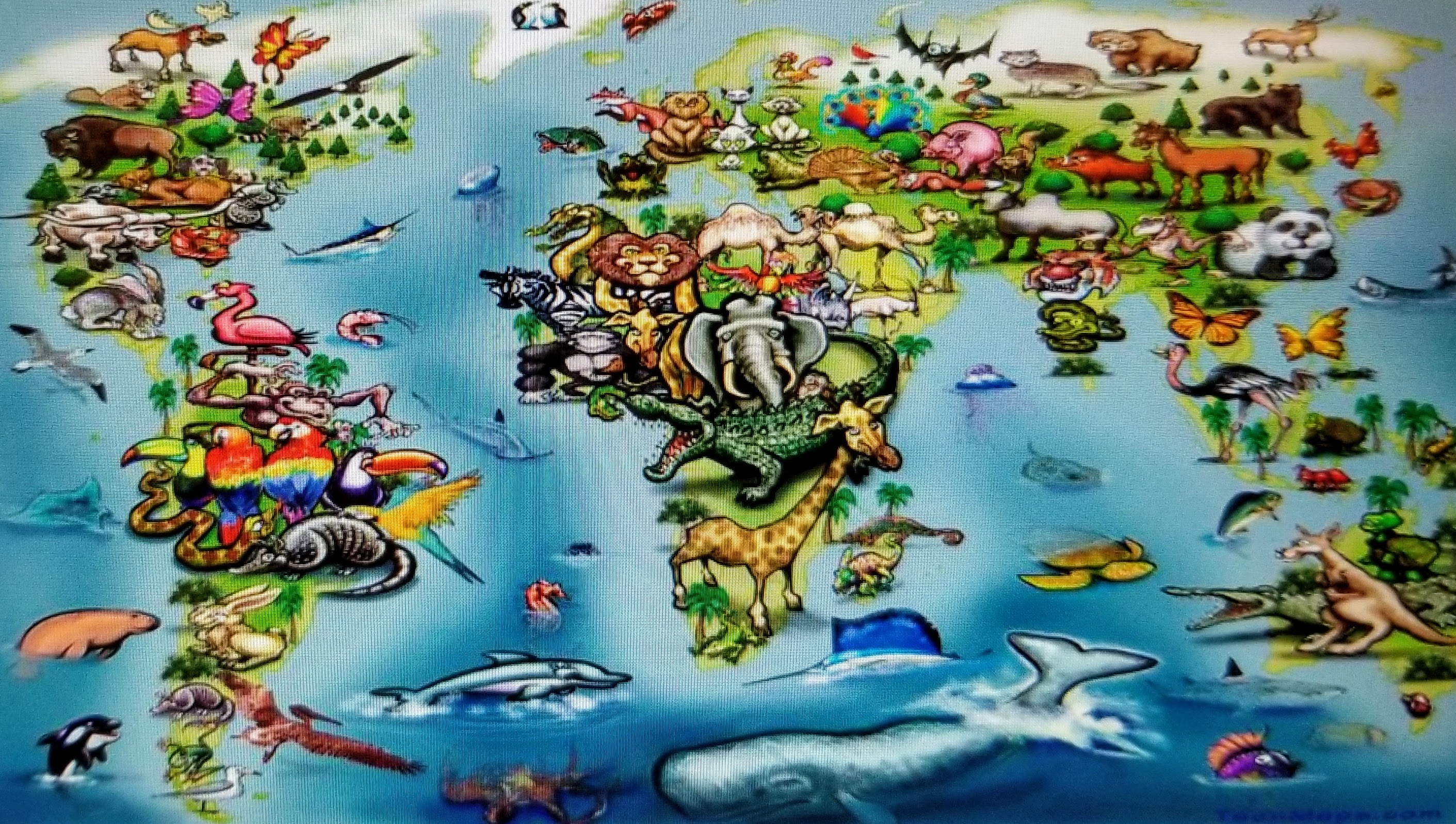 Introducing Fun Art on NimbusFrame